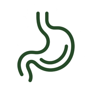 digestive